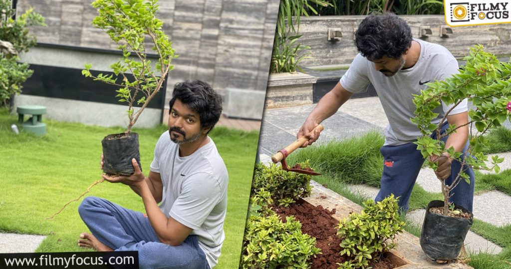 vijay takes up green india challenge