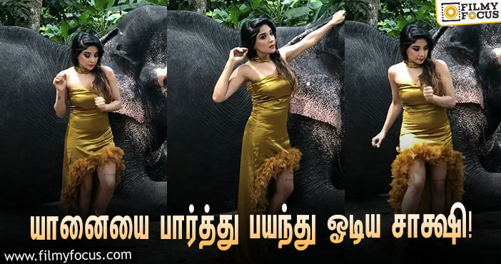 Sakshi's Photoshoot Video With Elephant